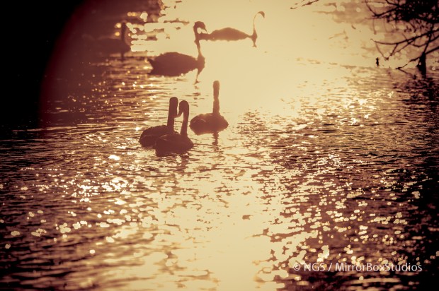 Friday Evening on the River
